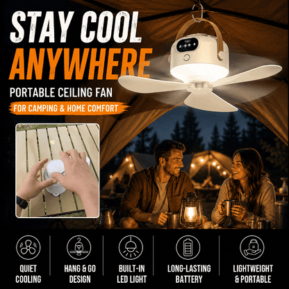Rechargeable LED Ceiling Fan with Remote