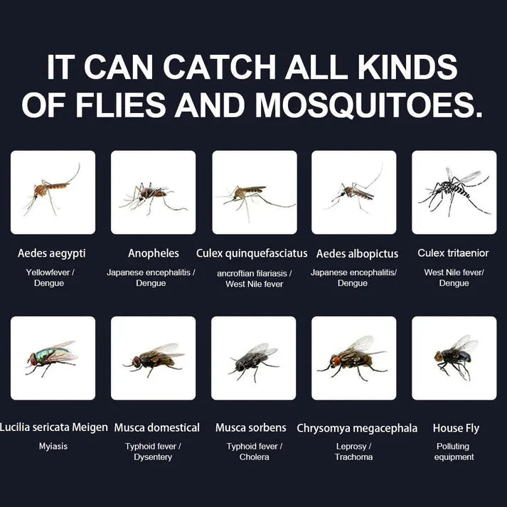 Mosquito Trap Indoor