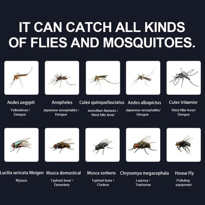 Mosquito Trap Indoor