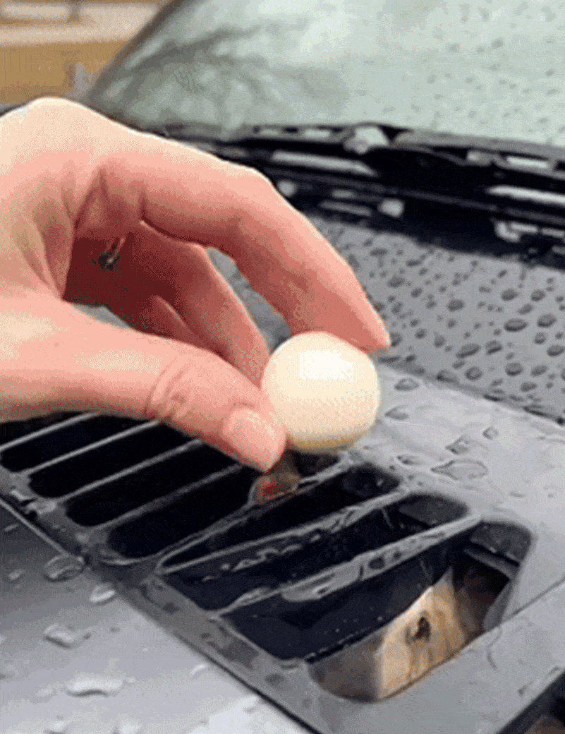 Rodent Repeller Balls