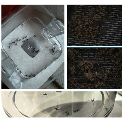 Mosquito Trap Indoor